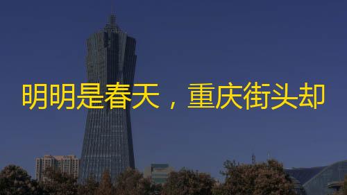 暗区突围私人单机明明是春天�，重庆街头却黄叶成堆如同秋天
，你知道为什么吗？